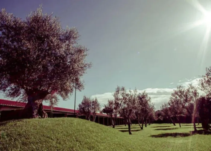 Ways Garden & Leisure Otel Roma