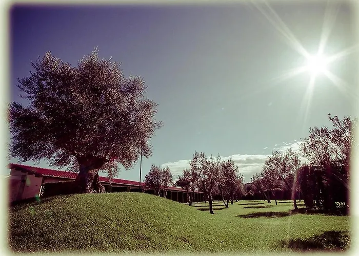 Ways Garden & Leisure Otel