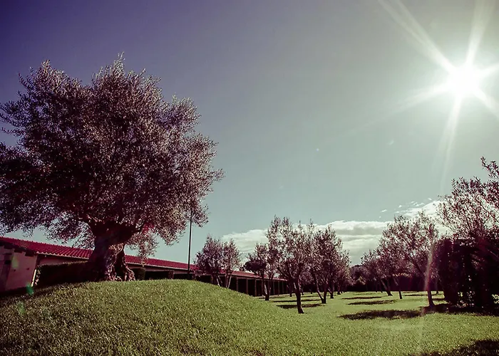 Ways Garden & Leisure 4*