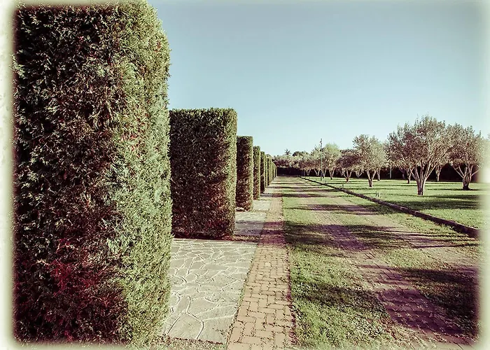 Ways Garden & Leisure