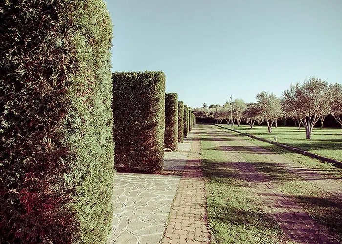Otel Ways Garden & Leisure Roma