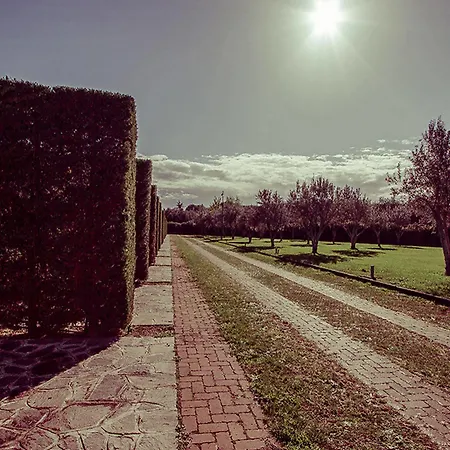 Ways Garden & Leisure 4* Rom